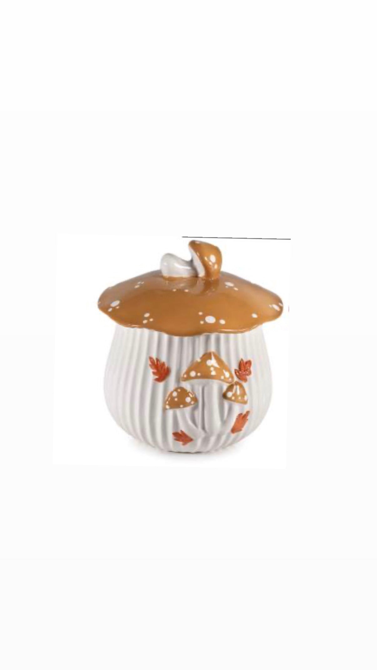 Barattolo in ceramica - Porcino