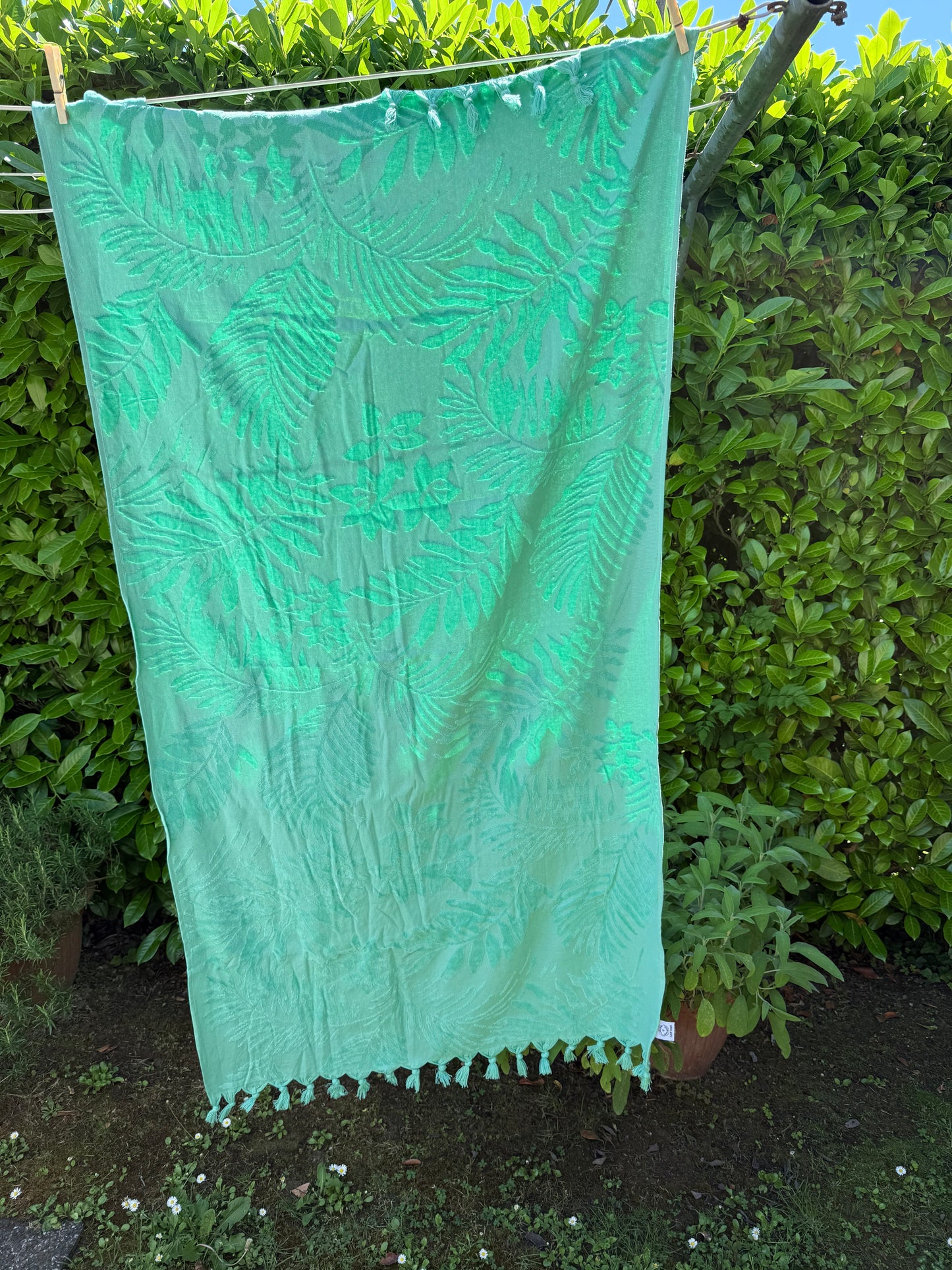 Telo in cotone - Palm