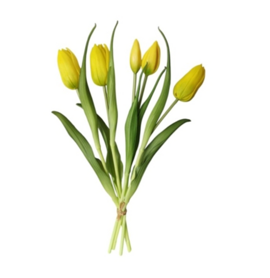 Mazzo tulipani h. 40 - Gialli