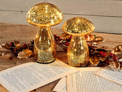 Set di 2 funghi decorativi in vetro con led